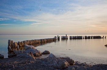 Bombay Beach